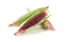 Load image into Gallery viewer, Ruby Queen Sweet Corn (4pcs/pack)