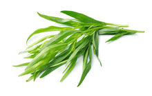 Load image into Gallery viewer, Tarragon Fresh (50g)