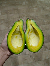 Load image into Gallery viewer, Avocado Davao (per kg) *Delivery Saturday*