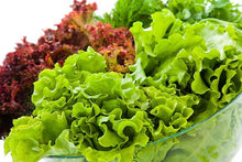 Load image into Gallery viewer, Lettuces Mix (500g/pack)