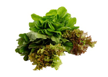 Load image into Gallery viewer, Lettuces Mix (500g/pack)