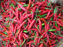 Load image into Gallery viewer, Sili Labuyo (100g)