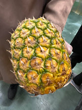 Load image into Gallery viewer, Ripe Pineapple Sale
