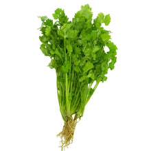 Load image into Gallery viewer, Herb Cilantro (50g)
