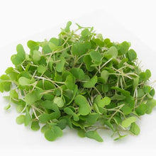 Load image into Gallery viewer, Microgreens (50g/pack)
