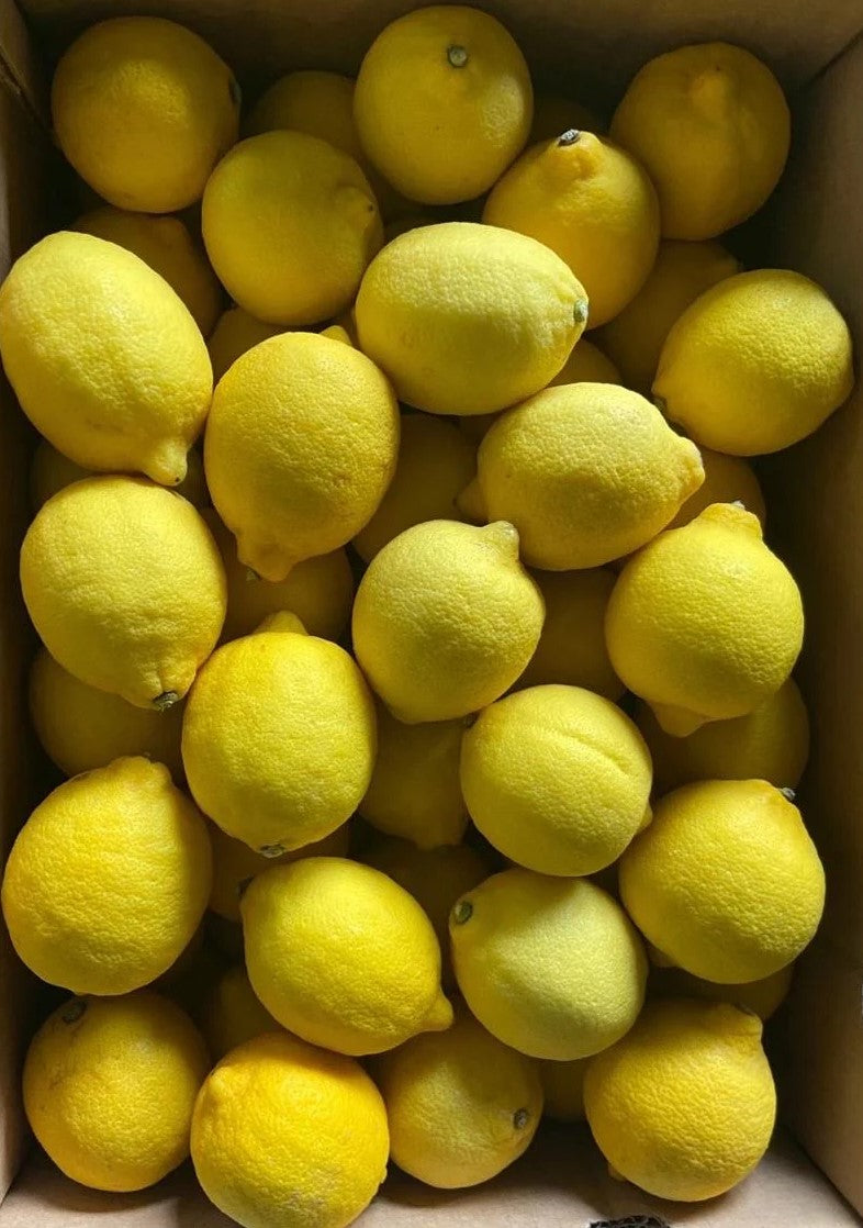 Lemon Wholesale (10pcs/pack) – The Veggie Table PH