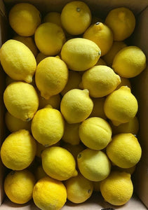 Lemon Wholesale (10pcs/pack)