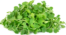 Load image into Gallery viewer, Micro Arugula (50g)
