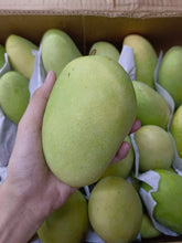 Load image into Gallery viewer, Mangoes Davao 🥭 (per kg)
