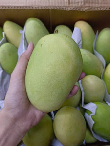 Mangoes Davao 🥭 (per kg)