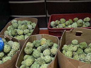 Local Atis (per kg)