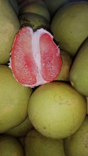 Load image into Gallery viewer, Pomelo Davao (per pc) P140/kg *GET THE KILO*
