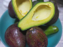 Load image into Gallery viewer, Avocado Davao (per kg) *Delivery Saturday*
