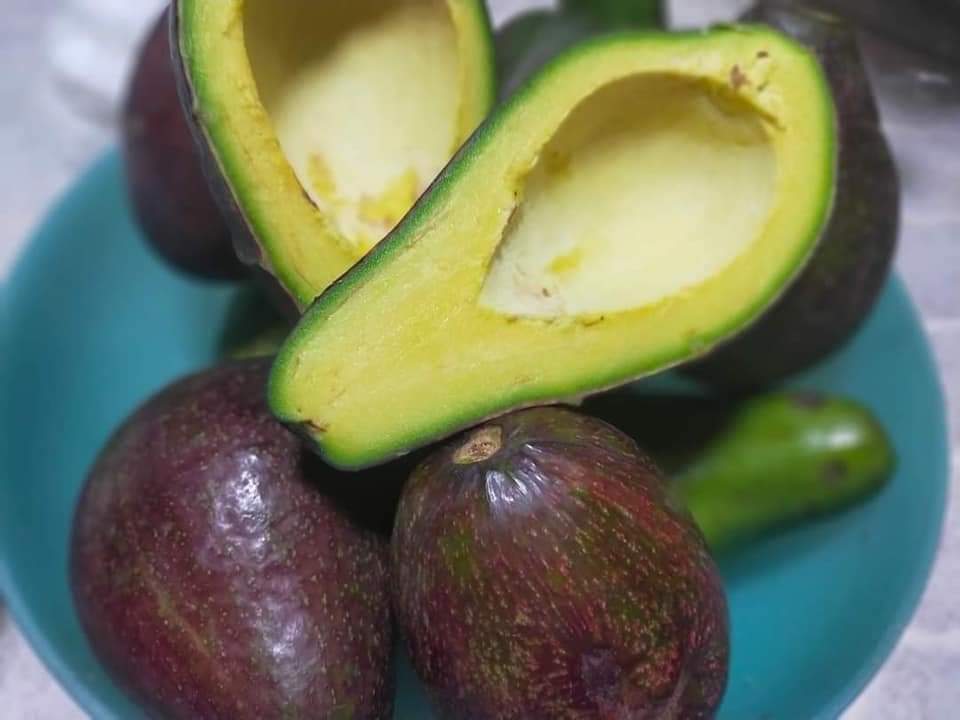 Avocado Davao (per kg) *Delivery Saturday*