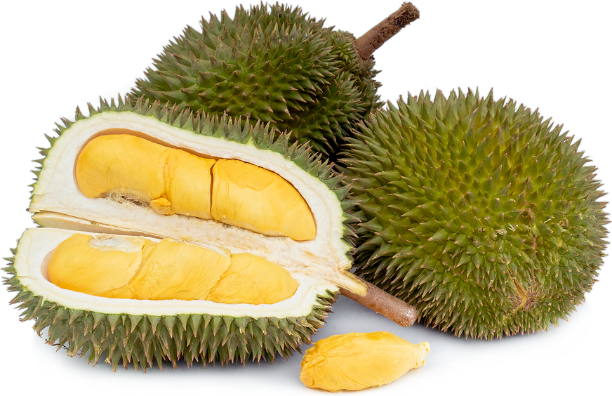 Durian Davao - P230/kg *Amount to follow (delivery: Sat)