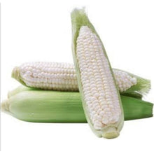 Load image into Gallery viewer, White Corn (4pcs/pack)
