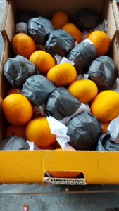 Orange Ponkan (3pcs)
