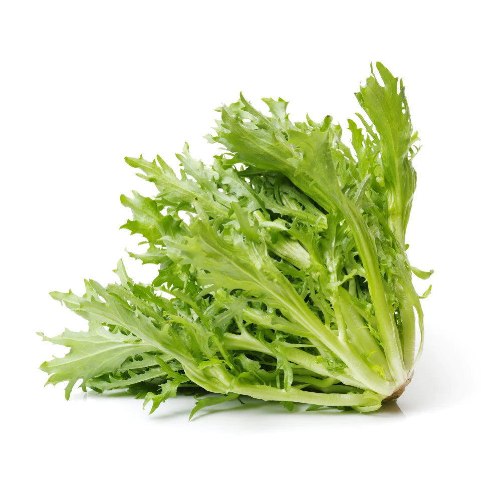 Salanova Frisee Lettuce (250g)