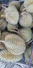 Load image into Gallery viewer, Durian Davao / P250/kg *Amount to follow (delivery: Sat)
