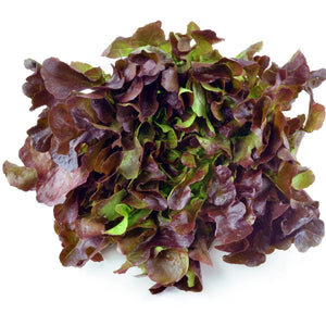 Salanova Oakleaf Lettuce (250g)