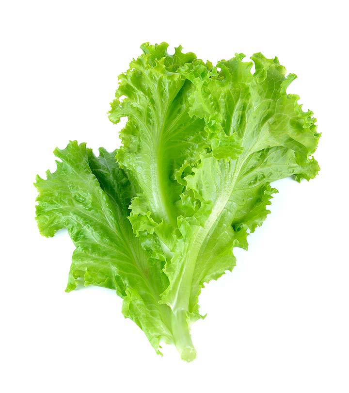 Green Ice lettuce (500g/pack)
