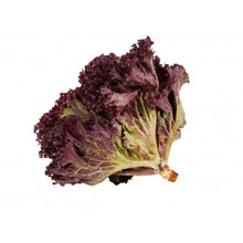 Load image into Gallery viewer, Salanova Frisee Lettuce (250g)

