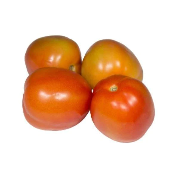 Tomato native