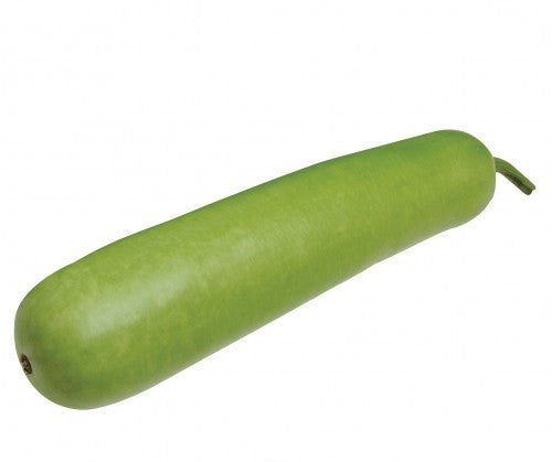 Upo Vegetable Clipart
