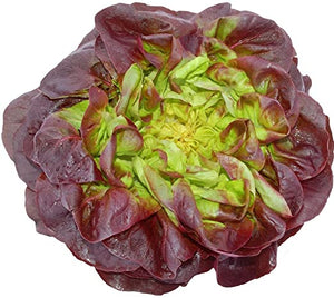 Salanova Butterhead Lettuce (250g)