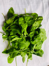 Load image into Gallery viewer, Herb Arugula Rocket (250g/pack)
