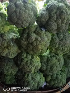 Broccoli (350g-500g)/head