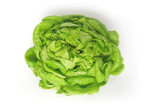 Salanova Butterhead Lettuce (250g)