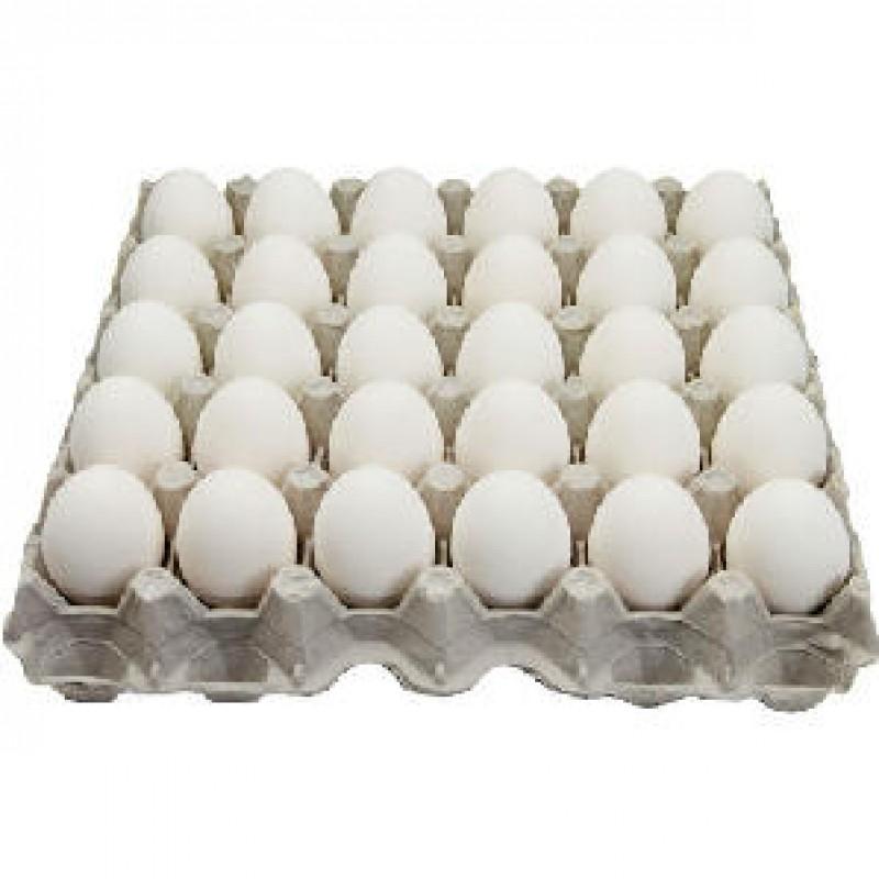 Fresh White Medium Eggs  (30pcs/tray)