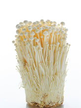 Load image into Gallery viewer, Enoki mushroom (per pack)
