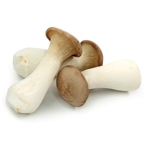 Oyster Mushroom аймағында жыныстық қатынас үшін BBW эскорттарын табыңыз. Oyster Mushroom аймағында жыныстық қатынас үшін BBW эскорттарын табыңыз.