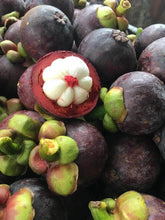 Load image into Gallery viewer, Mangosteen Bukidnon (kg) *Delivery Saturday*
