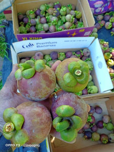 Mangosteen Bukidnon (kg) *Delivery Saturday*