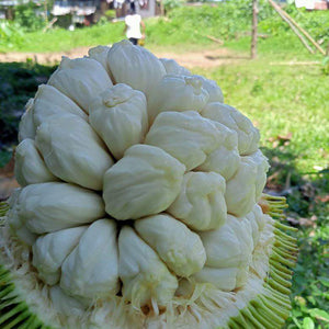 Marang (per pc) P180/kg *Amount to follow* (delivery: Sat)