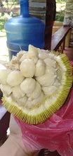 Load image into Gallery viewer, Marang (per pc) P180/kg *Amount to follow* (delivery: Sat)
