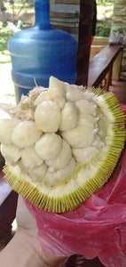 Marang (per pc) P180/kg *Amount to follow* (delivery: Sat)