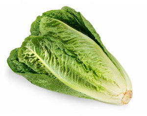 Romaine lettuce (500g/pack)