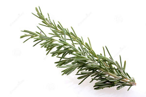 Rosemary herb (50g)
