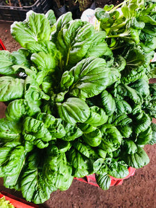 Baby Tatsoi (500g)