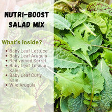 Load image into Gallery viewer, Nutriboost Salad Mix (100g)
