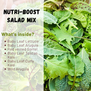 Nutriboost Salad Mix (100g)