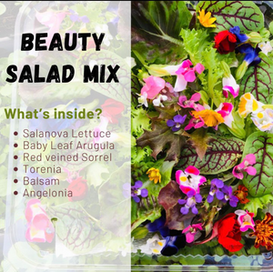 Beauty Salad Mix (100g)